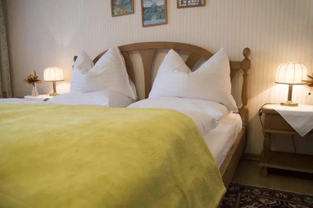 Hotel Schneider-Goessl Viena Austria